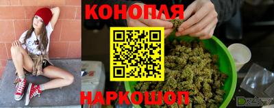 крисы Пыть-Ях