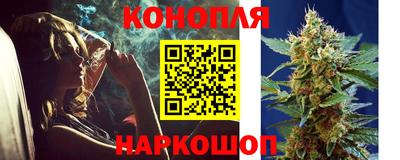 шишки Пугачёв