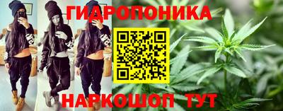 шишки Пугачёв
