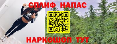 шишки Пугачёв